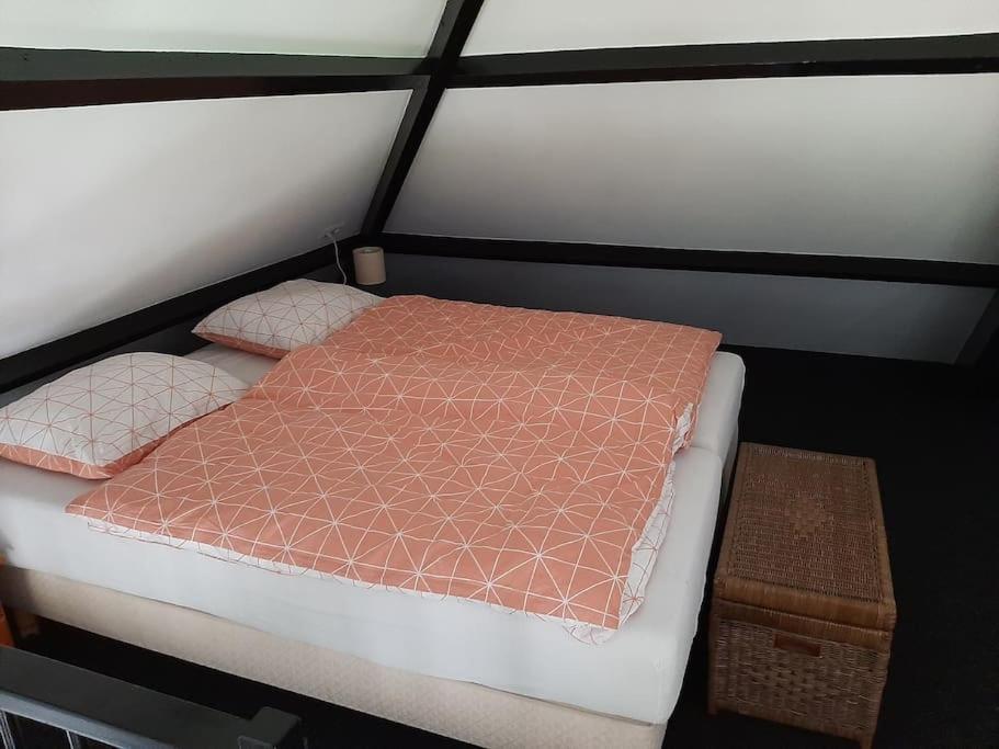 Vrijstaande Recreatievilla Met Ruime Omheinde Tuin Posterholt Ngoại thất bức ảnh